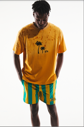 RTA COLIN | SUNSET PALM TREES