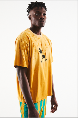 RTA COLIN | SUNSET PALM TREES