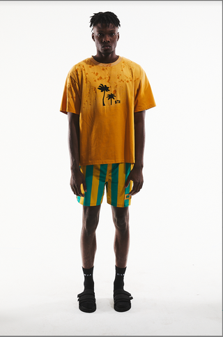 RTA COLIN | SUNSET PALM TREES