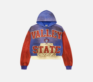 Vale Forever | Alumni Pullover 'Multicolor'